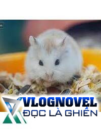 Con Hamster Lông Vàng Cuối Cùng Của Vũ Trụ