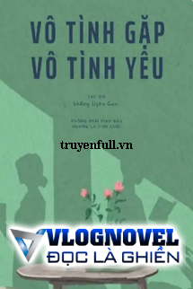 Vô Tình Gặp Vô Tình Yêu