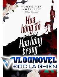 Hoa Hồng Đỏ Và Hoa Hồng Trắng Ở Bên Nhau